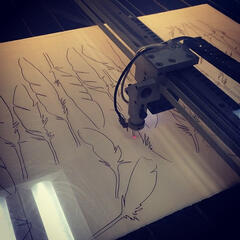 Icarus and The Albatross Process