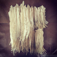 Icarus and The Albatross Process