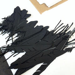 Icarus and The Albatross Process