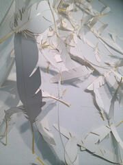 Icarus and The Albatross