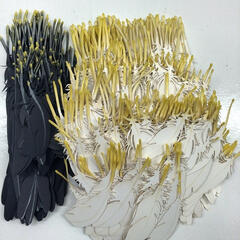 Icarus and The Albatross Process