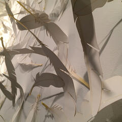 Icarus and The Albatross